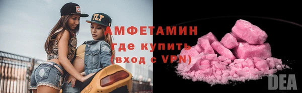 молекула духа Снежногорск