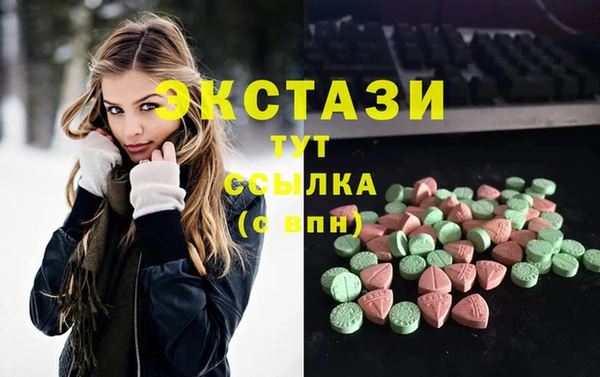 молекула духа Снежногорск