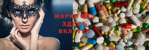 ешки Аркадак